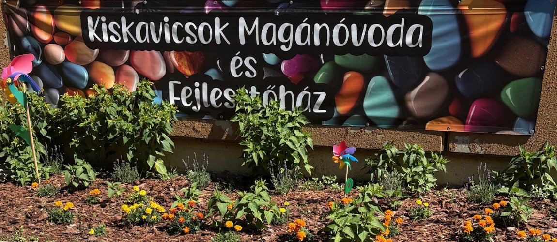 kiskavicsok-1